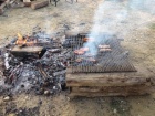 img_0719.jpg img_0719.jpg